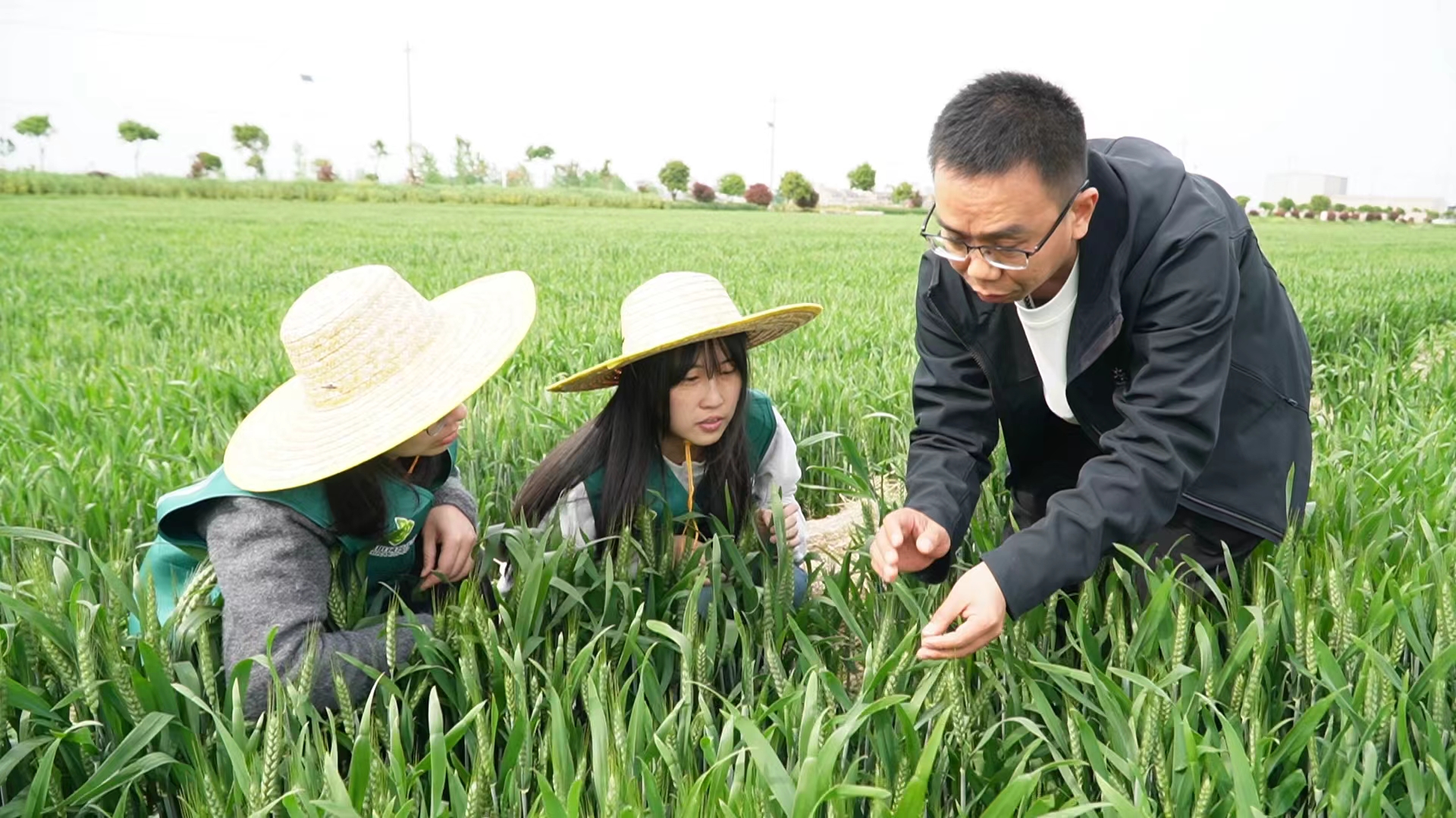 青年党员深入田间地头.jpg